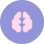 Brain icon